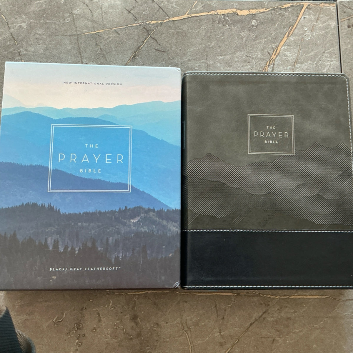 Bible - The Prayer Bible - NIV