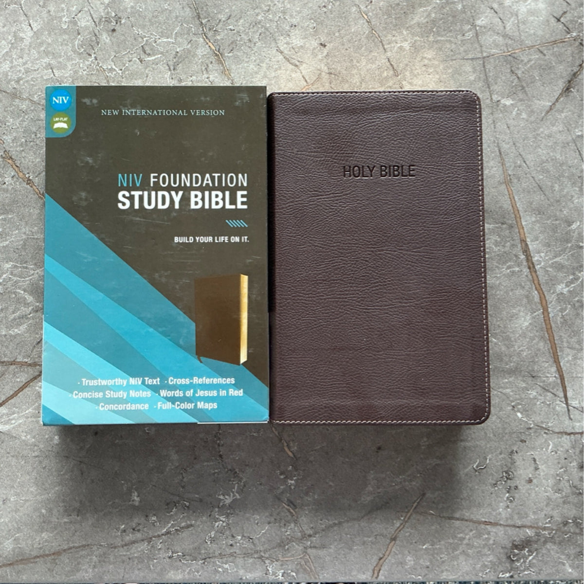Bible - Foundation Study Bible - NIV