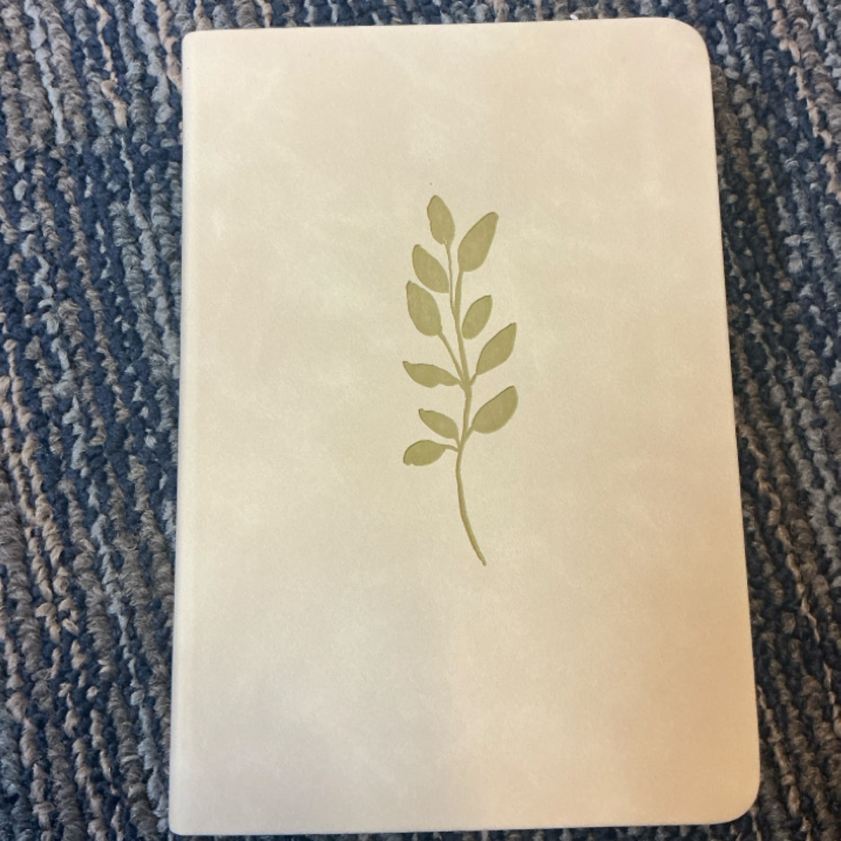 Bible compact beige NLT